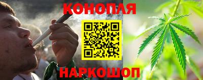 трава Краснодар